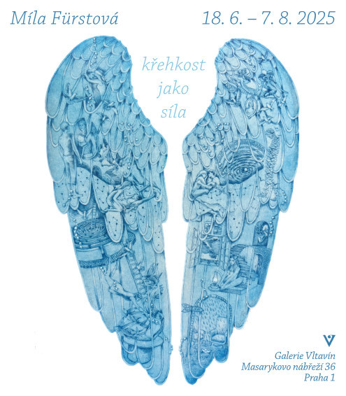 Míla Fürstová KŘEHKOST JAKO SÍLA