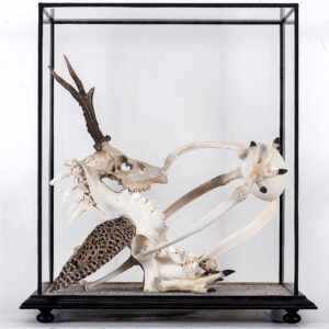 Švankmajer Jan - Vejcožravec okřídlený